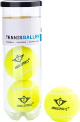3 Tennisballen in Koker