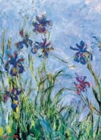 Irises (Detail) - Claude Monet Puzzel (1000 stukjes)-2