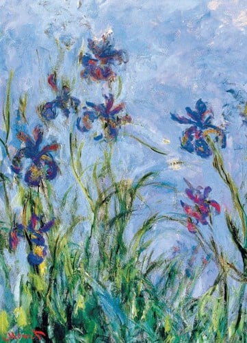Irises (Detail) - Claude Monet Puzzel (1000 stukjes)-2
