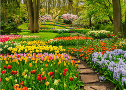 Bloemenpracht Puzzel (1000 stukjes)