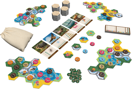 Cascadia - Board Game-2