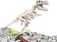 Wetenschap & Spel - Archeospel T-Rex-2