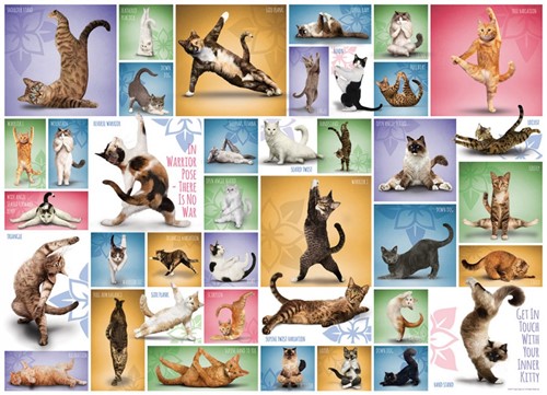 Yoga Cats Puzzel (1000 stukjes)-2