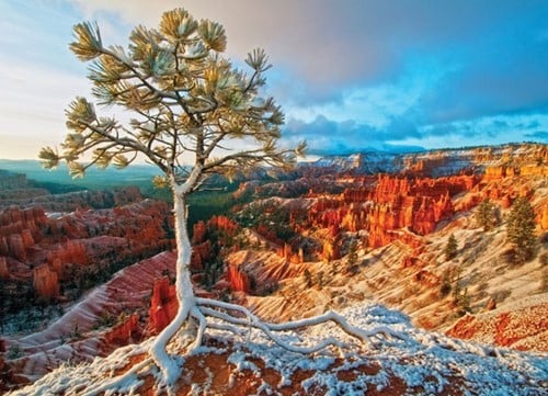 Winter Sunrise Puzzel (1000 stukjes)-2