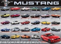 Ford Mustang Evolution Puzzel (1000 stukjes)-2
