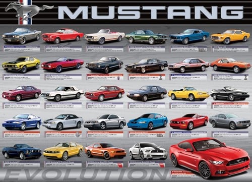 Ford Mustang Evolution Puzzel (1000 stukjes)-2