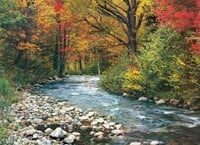 Forest Stream Puzzel (1000 stukjes)-2