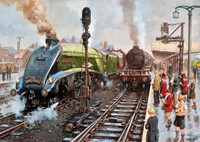 Spotters at Doncaster Puzzel (1000 stukjes)-2