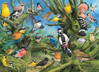 Garden Birds - Joahn Francis Puzzel (1000 stukjes)-2