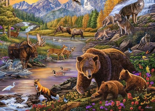 Wilderness Puzzel (500 XL stukjes)-2