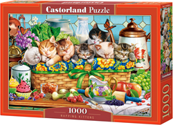 Napping Kittens Puzzel (1000 stukjes)