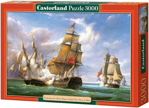 Afbeelding van het spel Copy of Combat Puzzel (3000 stukjes)