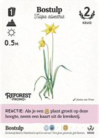 Reforest - Oerbos Kaartspel (NL)-2