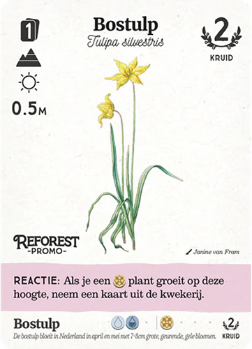 Reforest - Oerbos Kaartspel (NL)-2
