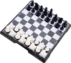 Magnetisch Reis Schaakspel