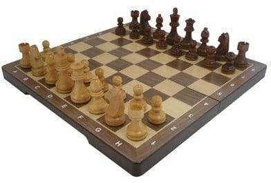 Schaak Set Groot-2