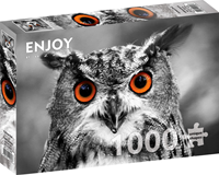Curious Owl Puzzel (1000 stukjes)