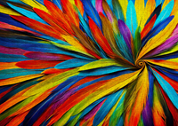 Colorful Feathers Puzzel (1000 stukjes)-2