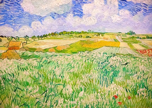 Vincent Van Gogh - Vlakte Bij Auvers Puzzel (1000 stukjes)-2