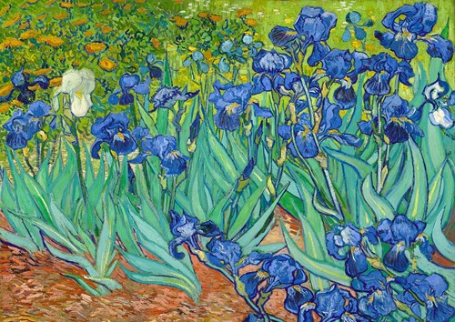 Vincent Van Gogh - Irissen Puzzel (1000 stukjes)-2