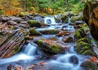 Forest Stream in Autumn Puzzel (1000 stukjes)-2