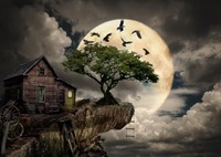 A Log Cabin on a Cliff Puzzel (1000 stukjes)-2