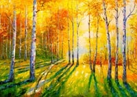 Birch Grove Puzzel (1000 stukjes)-2