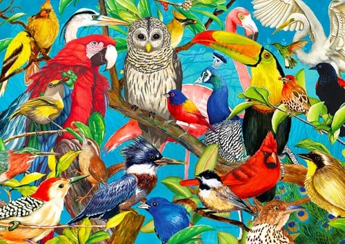 Feathered Frenzy Puzzel (1000 stukjes)-2