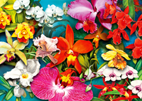 Orchid Jungle Puzzel (1000 stukjes)-2