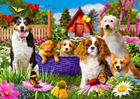 Puppy Patch Puzzel (1000 stukjes)-2