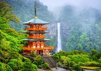 Seiganto-ji Pagoda - Japan Puzzel (1000 stukjes)-2