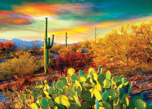 Desert Dreams Puzzel (1000 stukjes)-2