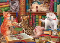 Poesjes in de Bibliotheek Puzzel (1000 stukjes)-2