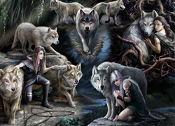 Anne Stokes - Wolf Collage Puzzel (1500 stukjes)