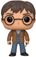 Funko Pop! - Harry Potter with 2 wands 'Special Edition' #118-2