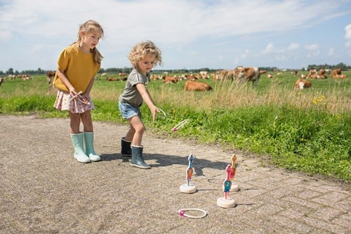 Ringwerpen Vogels-2