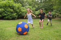 Grote Bal (50 cm)-2