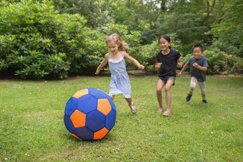Grote Bal (50 cm)-2