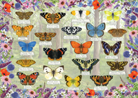 Beautiful Butterflies Puzzel (1000 stukjes)-2