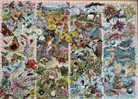 Curious Creatures Puzzel (1000 stukjes)-2