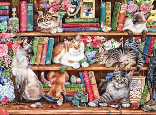 Puss Back in Books Puzzel (1000 stukjes)-2