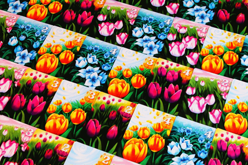Gift of Tulips-2