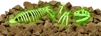 Glow in the Dark T-REX-2