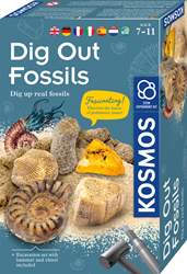 Dig Out Fossils