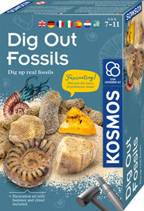 Afbeelding van het spelletje Dig Out Fossils