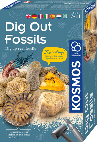 Dig Out Fossils