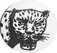 Black Jaguar