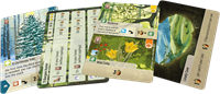 Forest Shuffle - Exploration (Engelse versie)-2