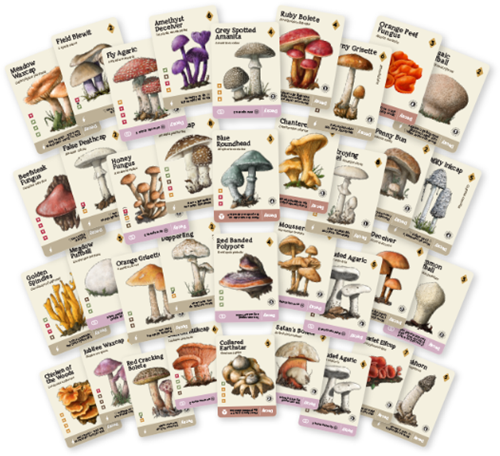 Mycelia (NL)-2
