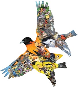 Afbeelding van het spelletje Oriole Puzzel (1000 stukjes)